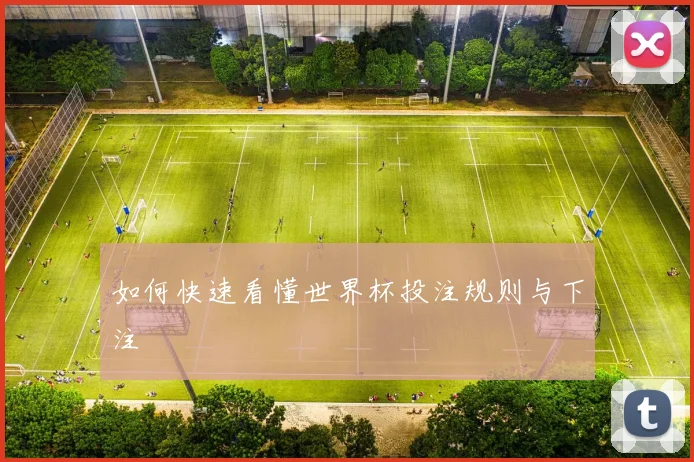 如何快速看懂世界杯投注规则与下注